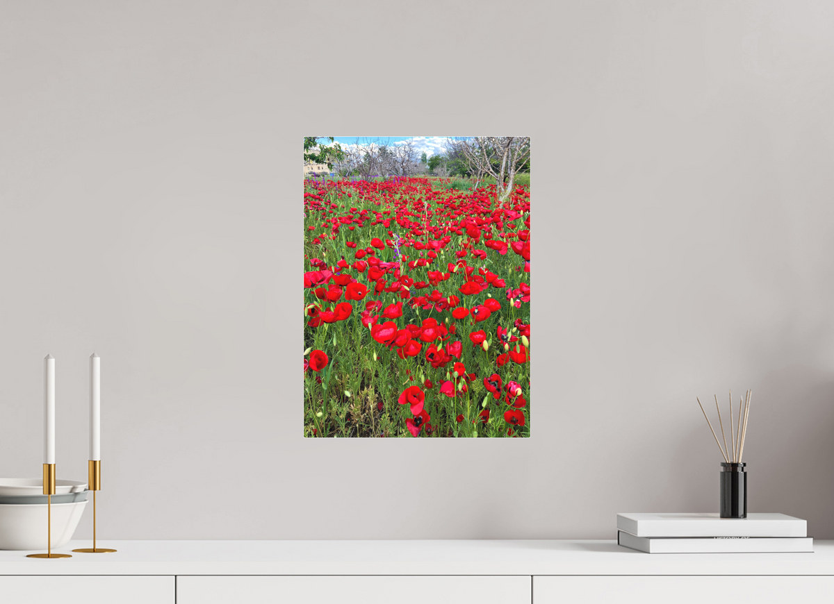 12 x 16″, Print for Indoors Photo print of "Poppies" by Luvinans.