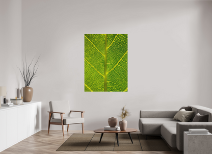 Discover the Beauty in Simplicity: "The Leaf" - photo print
