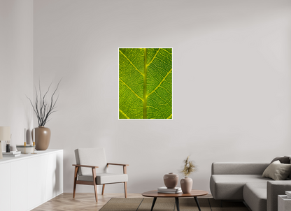 Discover the Beauty in Simplicity: "The Leaf" - photo print