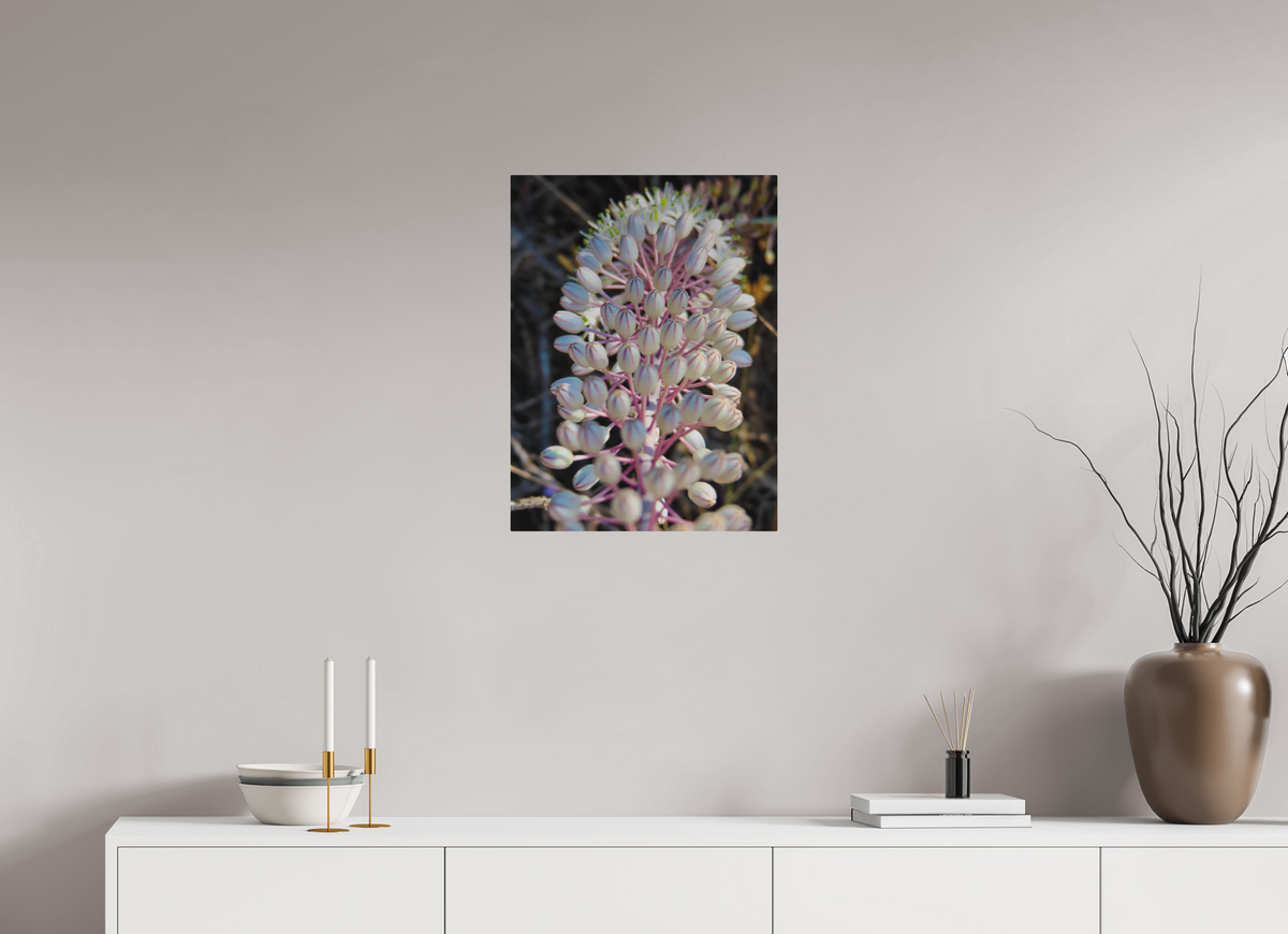 18 x 24″, Print for Outdoors Photo print of "Sea Squill" by Luvinans.