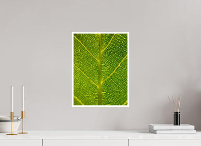 Discover the Beauty in Simplicity: "The Leaf" - photo print