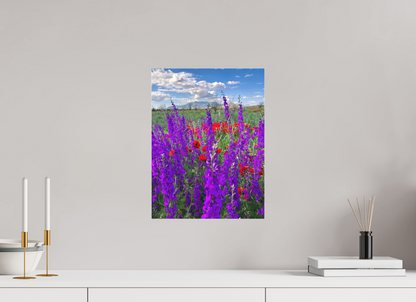 12 x 16″, Print for Indoors Photo print of "Tall Purple Larkspul" by Luvinans