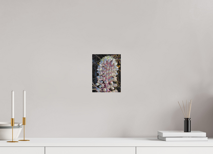 6 x 8″, Print for Outdoors Photo print of "Sea Squill" by Luvinans.