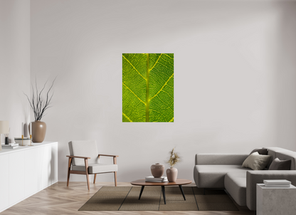 Discover the Beauty in Simplicity: "The Leaf" - photo print
