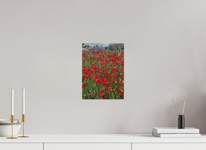 9 x 12″, Print for Outdoors Photo print of "Poppies" by Luvinans.