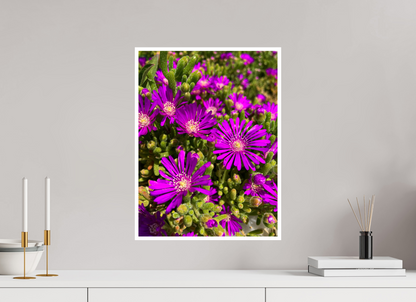 Behold the Fragile Beauty of Winter: "Hardy Ice Flower" - photo print