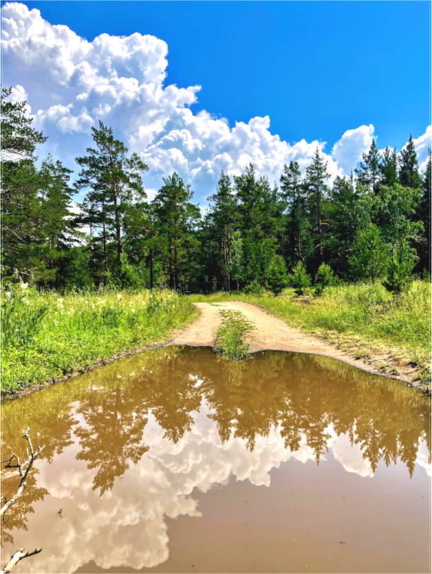 Mirror Path - photo print