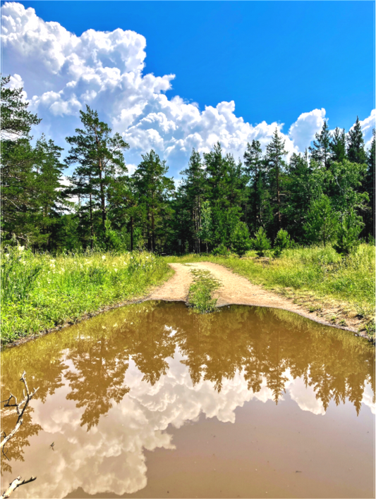 Mirror Path - photo print