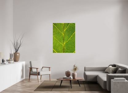 Discover the Beauty in Simplicity: "The Leaf" - photo print